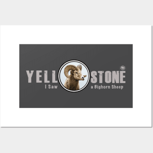 I Saw a Bighorn, Yellowstone National Park Posters and Art